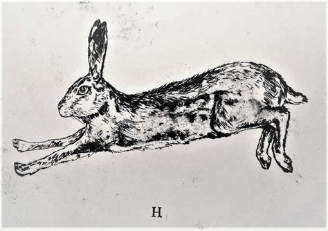 Leaping Hare