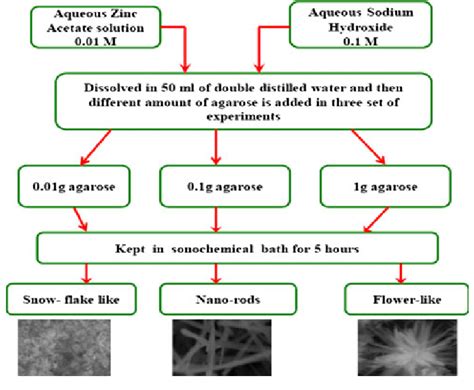 Schematic Representation Of Synthesis Of Flower Like Nanorodlike And