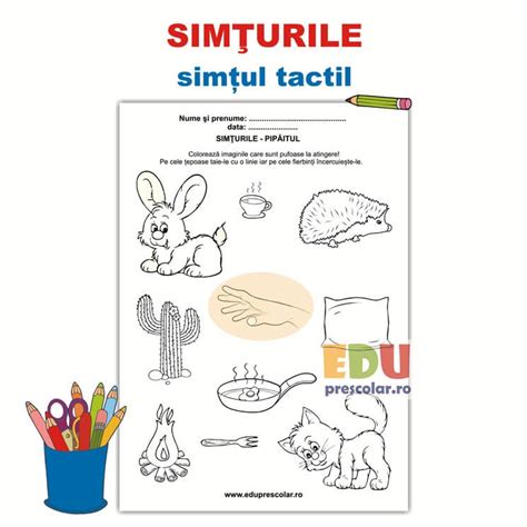 Simturile Pipaitul Fisa De Lucru Eduprescolar Ro