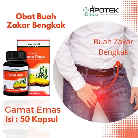 Jual Obat Buah Zakar Bengkak Obat Buah Jakar Besar Sebelah Obat Nyeri