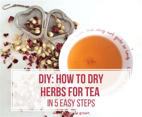 Diy How To Dry Herbs For Tea In Easy Steps Gabriela Green