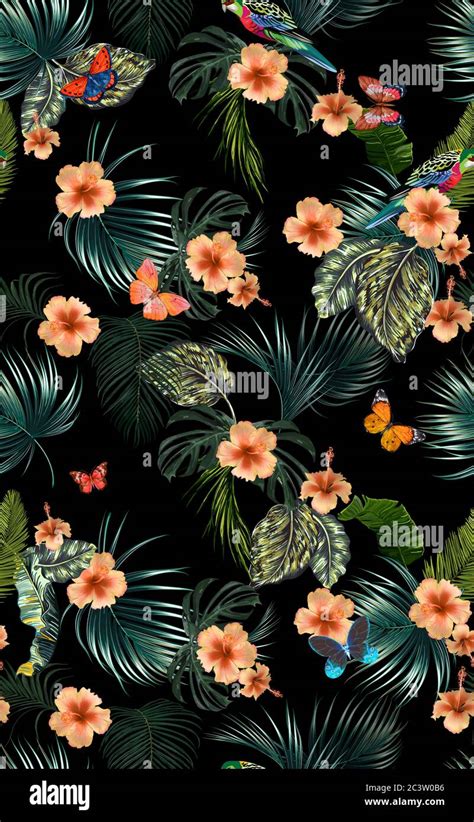 846 Background Flower Tropical Pics - MyWeb