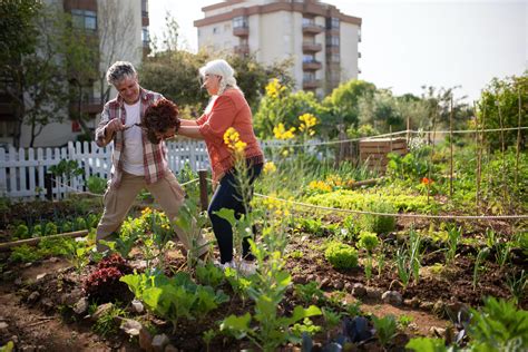 Pourquoi Cr Er Un Jardin Partag En Ville Bonnes Raisons