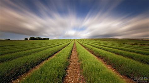 والپیپر منظره دشت باز Open Field View