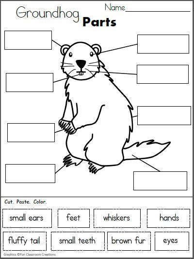 Free Label The Groundhog Worksheet Cut And Paste Made By Teachers