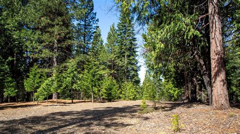 13001 Acres In El Dorado County California