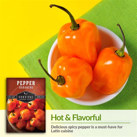 Habanero Pepper Seeds for Planting - SurvivalGardenSeeds