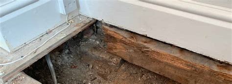 What Is Wet Rot Differences Between Wet Rot Dry Rot