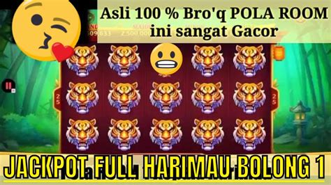 Informasi Pola Room Panda Terbaru Jp Full Harimau Higgs Domino