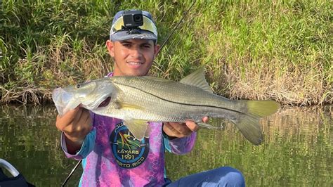 Pesca De Róbalos🎣están Muy Hambrientospesca En Puerto Ricofishing