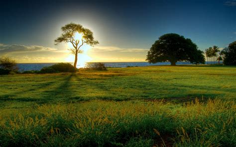 Papel de parede luz solar panorama Pôr do sol Colina natureza