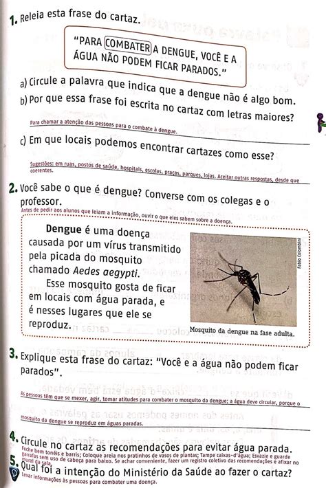 Texto Interpreta O Sobre A Dengue O Ano Texto Exemplo