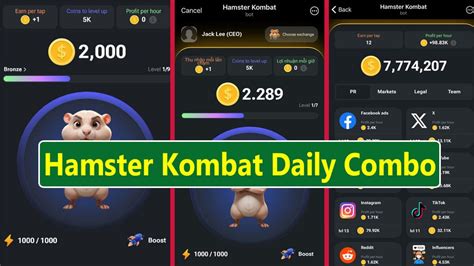 Hamster Kombat Daily Combo — Daily Updated Cards By Thetrendsman