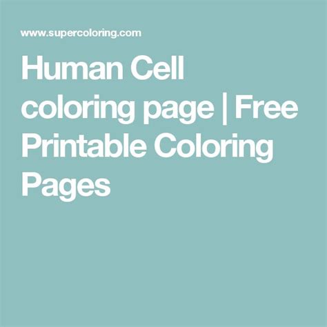 Human Cell coloring page | Free Printable Coloring Pages | Free ...