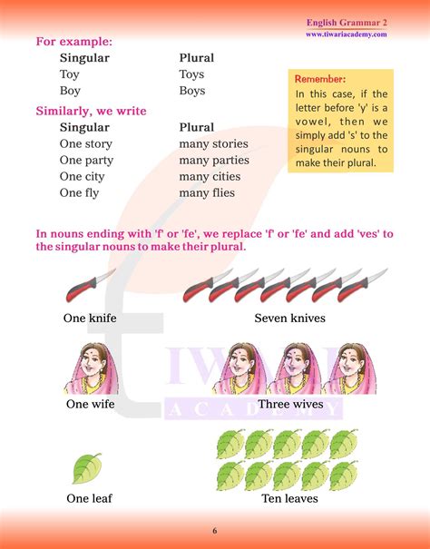 Class 2 English Grammar Chapter 2 Singular And Plural And Assignments