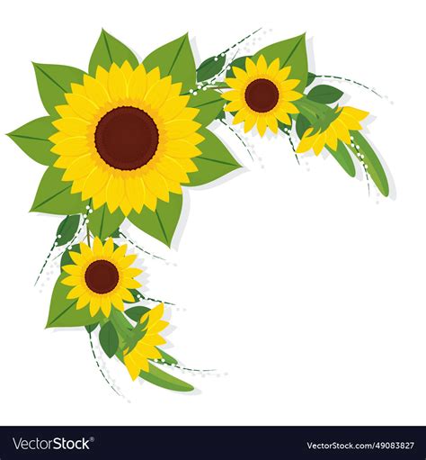 Colored sunflower border flower Royalty Free Vector Image