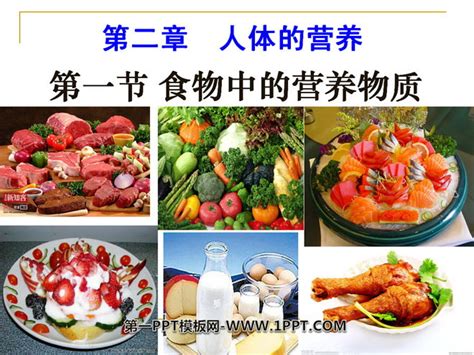 《食物中的营养物质》人体的营养ppt课件6