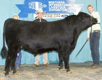 Northern International Livestock Exposition Nile Junior Angus Show