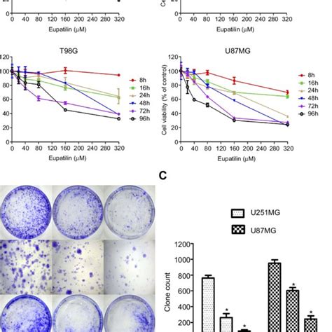 Eupatilin Inhibits Viability And Proliferation Of Glioma Cells A