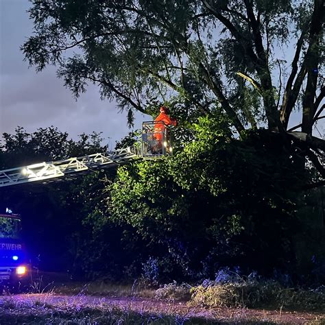 Umgest Rzte B Ume Bei Unwetter Im Kreis Sigmaringen Swr Aktuell