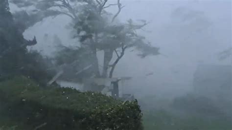 Schwere Unwetter Im Baltikum Frau Von Baum Erschlagen Puls