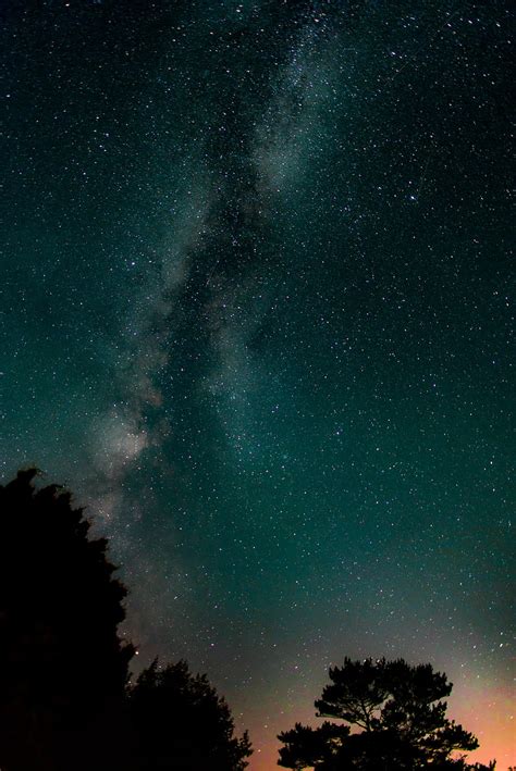 1920x1080px 1080p Free Download Nature Stars Trees Hd Phone