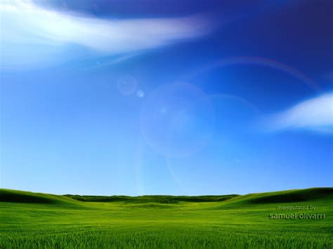 Windows Longhorn Wallpaper Sky Grassland Natural Landscape Nature Green