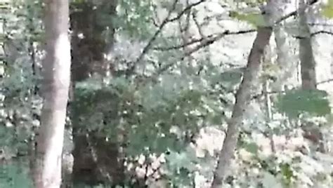 Older Men Public Cum Cruising Gay Amateur Amateur Porn Xhamster