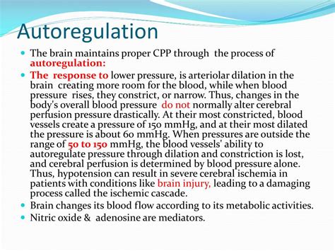 PPT Cerebral Circulation CSF Formation PowerPoint Presentation ID