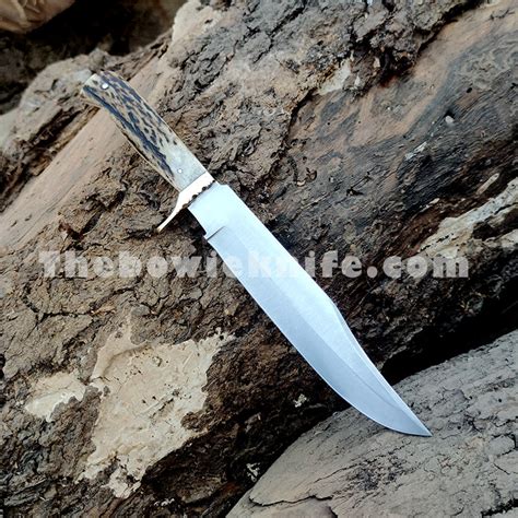 Bowie Knife Stag Handle With Leather Sheath DK-178 – The Bowie Knife