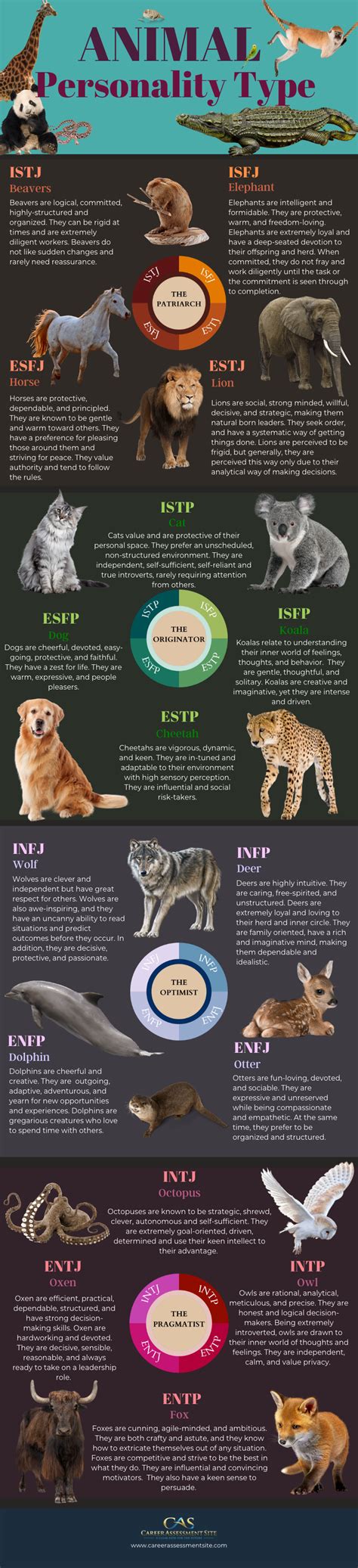 Your Animal Myers Briggs Personality Type 16 Animal Types