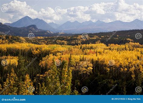 Alaska Range in Denali stock image. Image of mountainous - 29121933