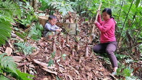 The Single Mother And Her Son Completed The House And Went To Pick Bamboo Shoots To Sell Youtube