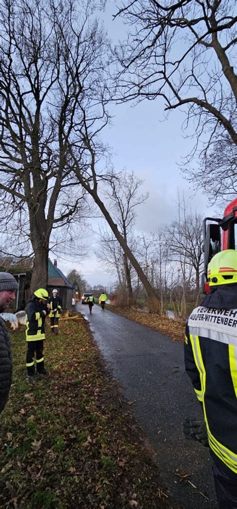 Th Droht Baum Auf Haus Zu Fallen Freiwillige Feuerwehr Wrist