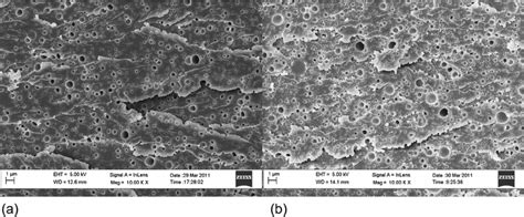 FEG SEM Images Of The Fracture Surface Of The Epoxy Polymers Modi Fi Ed