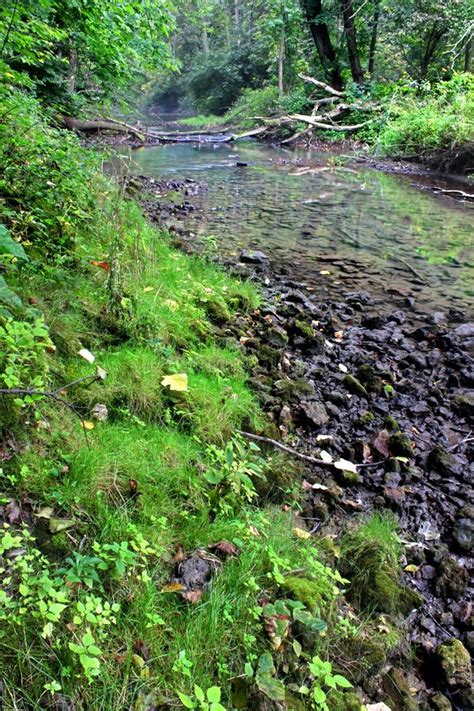 Kinnikinnick Creek Conservation Area Illinois Stock Image Image Of