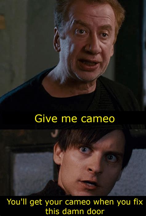 Mr Ditkovich Is Displeased With The No Way Home Trailer Rraimimemes