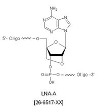 Locked Analog Bases Lna N Oligo Modifications From Gene Link