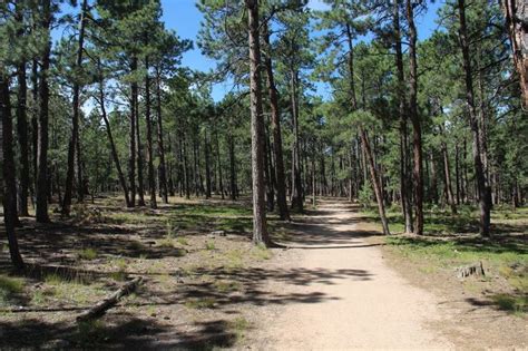 Fox Run Regional Park Trails