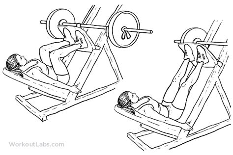 Leg Press / Machine Squat Press | WorkoutLabs