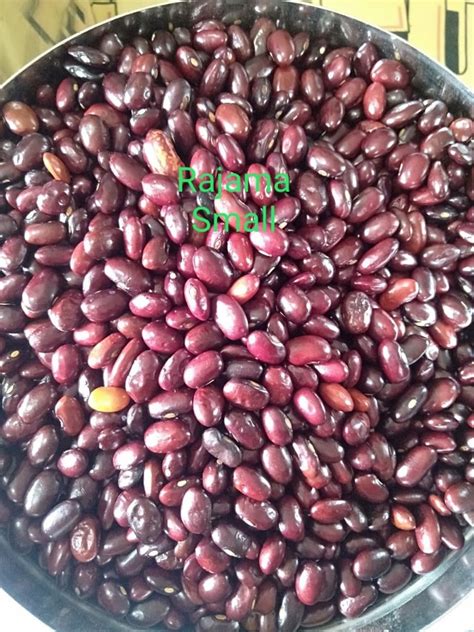 Red Pulses Rajma Small High In Protein 1 Kg At Rs 92 1kg In Ahmedabad