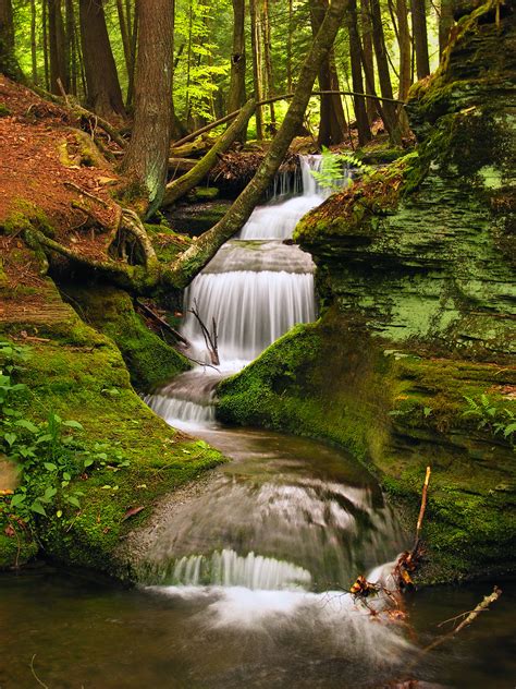 Fotos Gratis Paisaje Rbol Naturaleza Bosque Cascada Arroyo