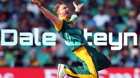 Steyn The Gun Dale Steyn Whatsapp Status Youtube