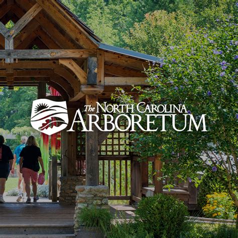 Nc Arboretum Cuberis Museum Website Design And Development