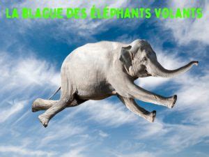 La blague des éléphants volants Blagues et Dessins