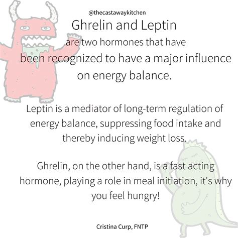 Hunger Hormones: Ghrelin and Leptin | The Castaway Kitchen