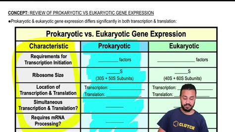 Gene Regulation In Prokaryotes