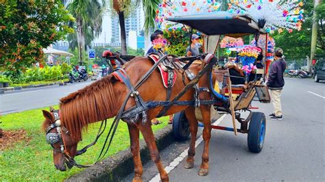 NAIK KUDA DELMAN ONDEL ONDEL BADUT JOGET DINO SONG BADANYA BESAR