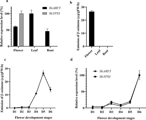 Emission of β ocimene contents and relative expression analysis of