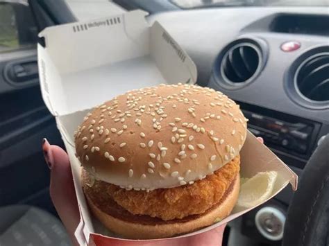 I Tried The Mcdonalds Mcspicy Burger And It Was Too Hot To Handle